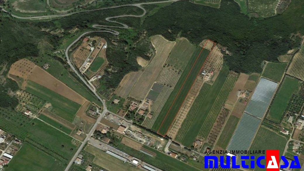 TERRENO AGRICOLO