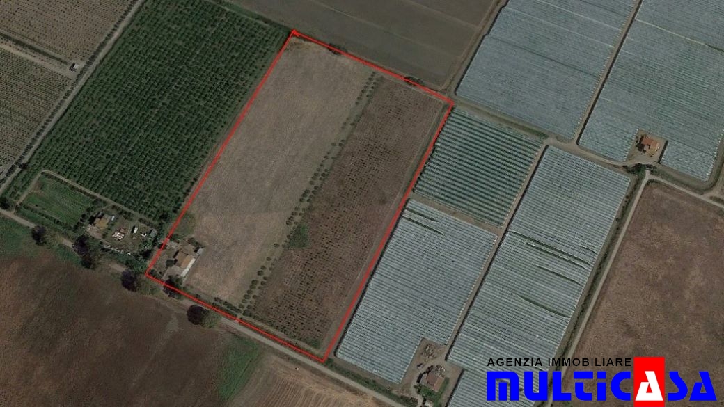 AZIENDA AGRICOLA IN AGRO DI BERNALDA